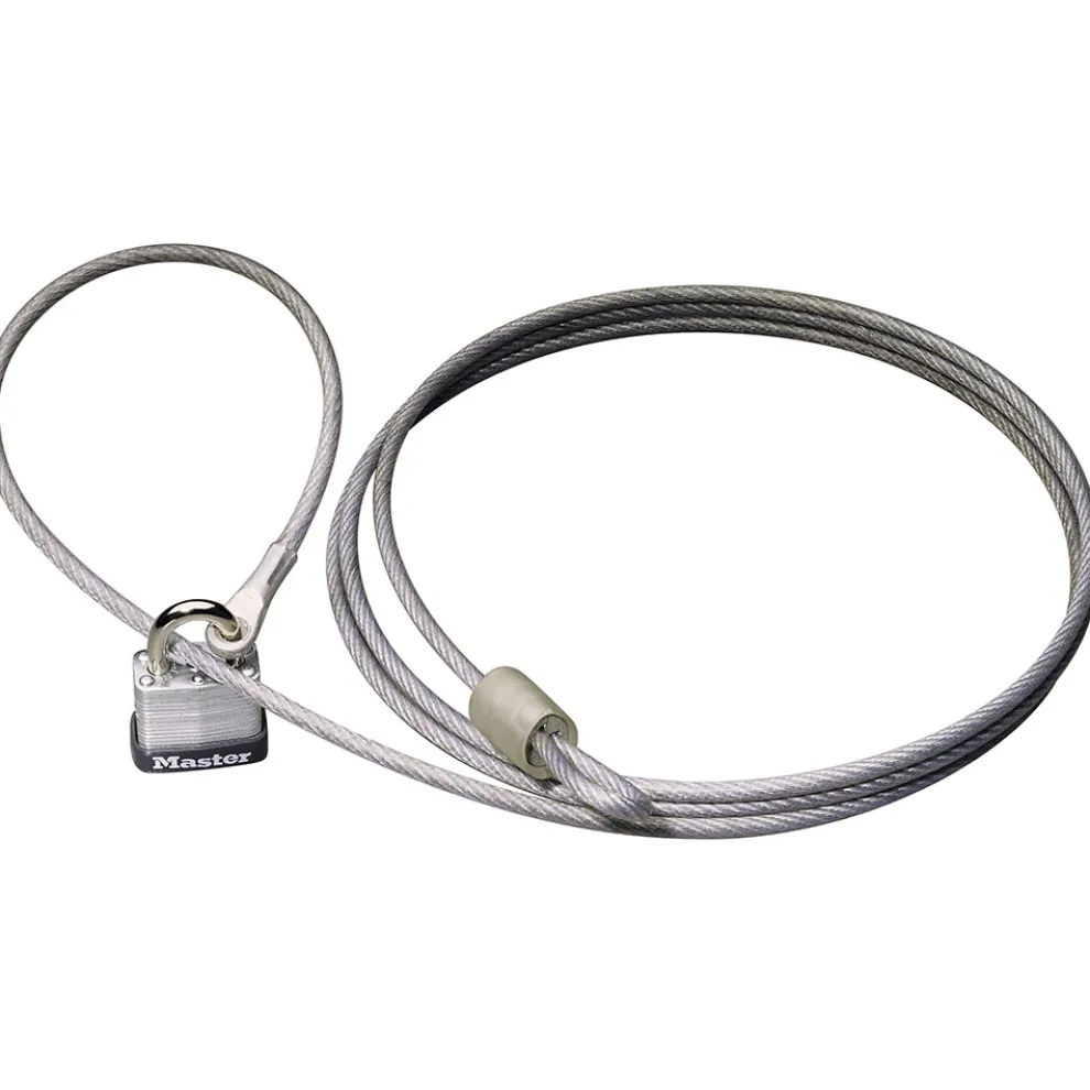 Chains and Cable Locks