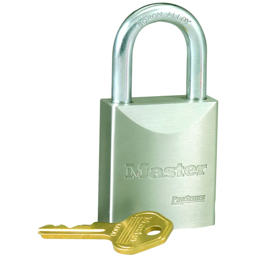 ProSeries® Solid Steel Lock