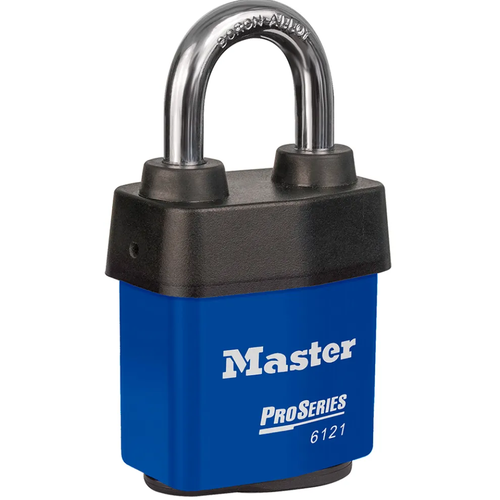 ProSeries® Weather Tough® Laminated Lock