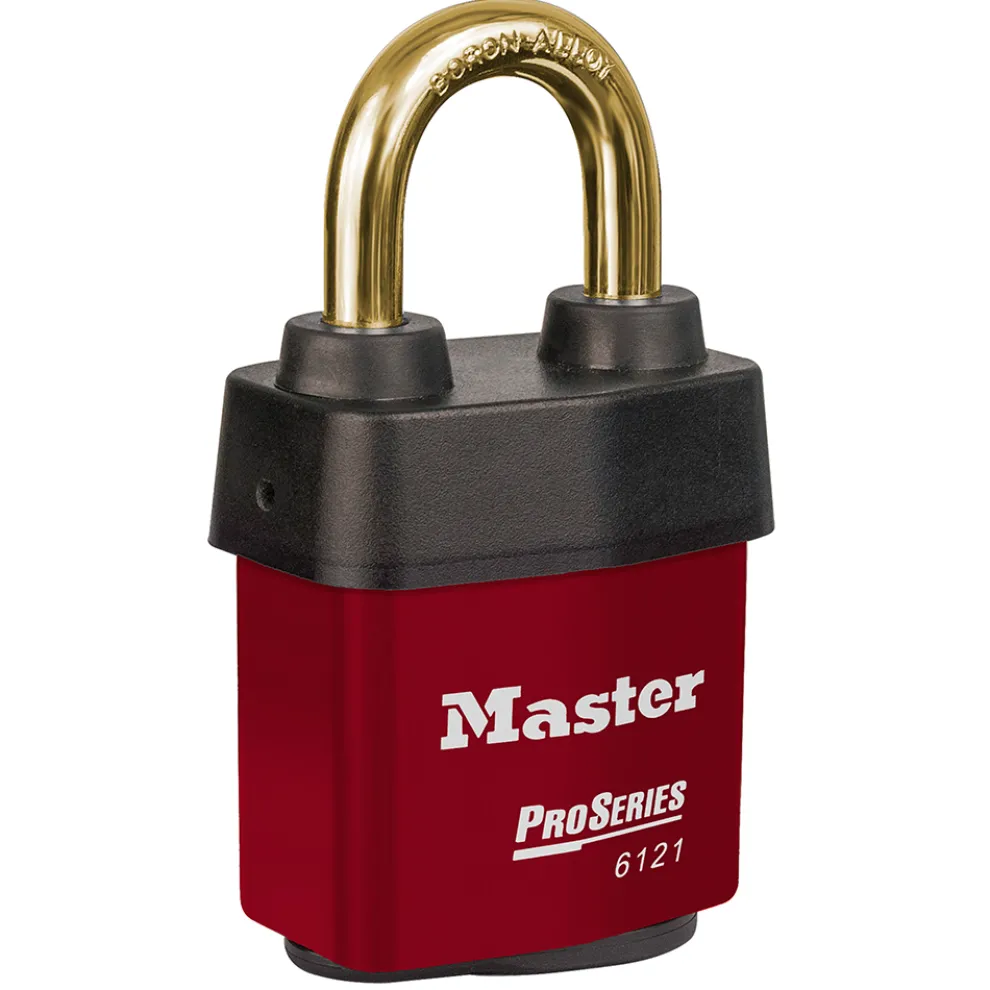 ProSeries® Weather Tough® Laminated Lock