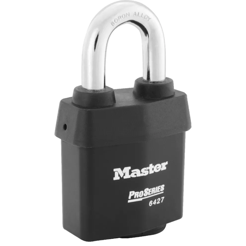 ProSeries® Weather Tough® Laminated Steel