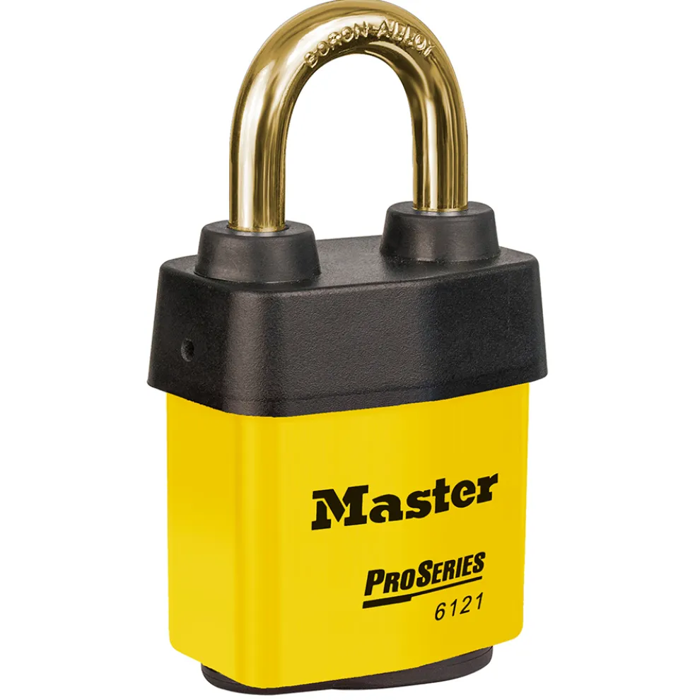 ProSeries® Weather Tough® Laminated Lock